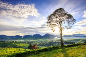 Lama Perjalanan dari Jakarta ke Pangalengan