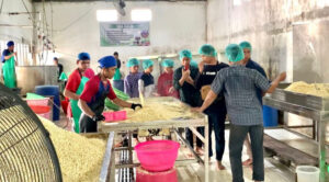 50 Remaja LDII Kota Banjarbaru Ikuti Pelatihan Pembuatan Tempe Higienis